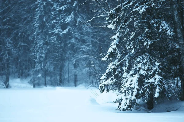 積雪と森林 季節寒さと霧の冬の風景 — ストック写真