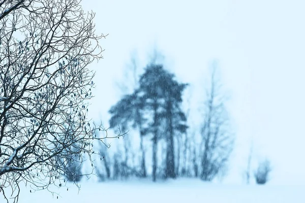 Foggy Winter Landscape Snowfall Forest Cold Seasonal Weather — Stock Photo, Image