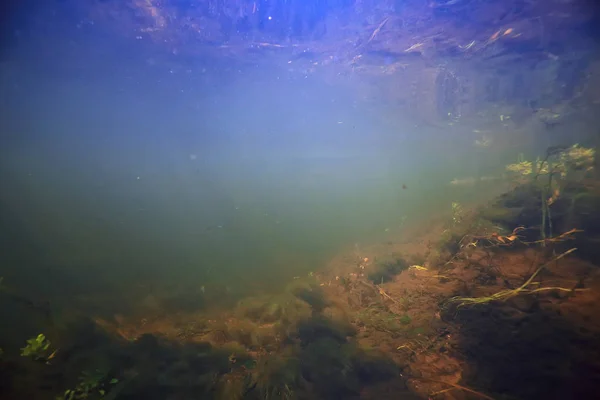 Paesaggio Subacqueo Lago Trasparente Ecosistema Acqua Dolce Paesaggio Insolito Sott — Foto Stock