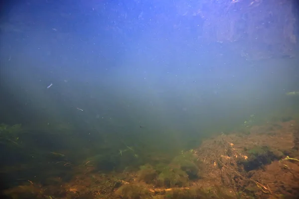 Zonnestralen Onderwater Foto Textuur Onderwater Landschap Met Zonnestralen Blauw Water — Stockfoto