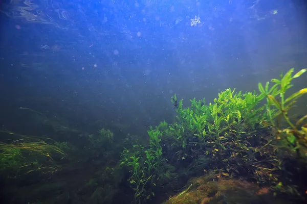 Unterwasser Berg Klaren Fluss Unterwasser Foto Einem Süßwasser Fluss Schnelle — Stockfoto