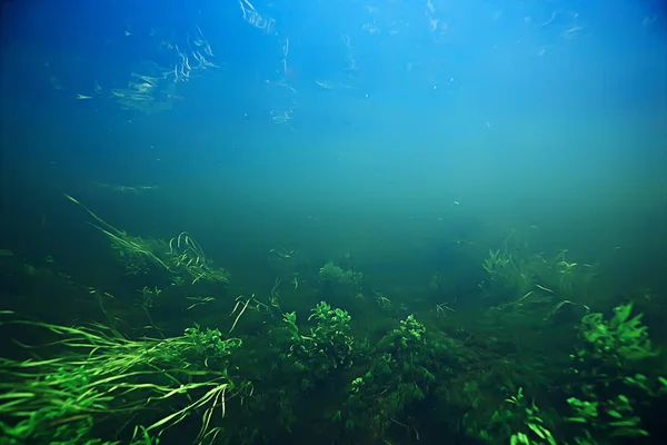 Υποβρύχια Υφή Του Νερού Μια Λίμνη Γλυκού Νερού Οικοσύστημα Υποβρύχια — Φωτογραφία Αρχείου