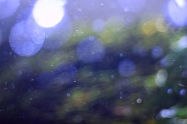 bir göl, sualtı fotoğraf tatlı su ekosistemi, su doku arka plan su sualtı doku