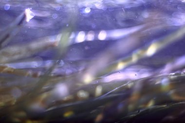 Sualtı dağ açık nehir, sualtı fotoğraf bir tatlı su Nehri, hızlı geçerli havada su, sualtı ekosistem manzara kabarcıklar.