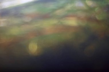 bir göl, sualtı fotoğraf tatlı su ekosistemi, su doku arka plan su sualtı doku