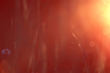 Bahar güneşi parlama, Güneş ışınları çim sahası, bahar arka plan üzerinde