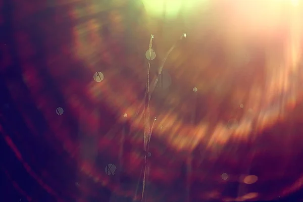 Весенний Солнечный Свет Солнечные Лучи Травяном Поле Весенний Фон — стоковое фото