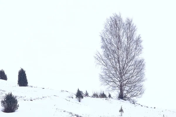 Сніговий Зимовий Пейзаж Стара Дерев Яна Церква — стокове фото