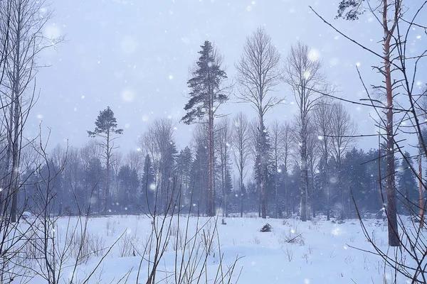 Snowy Road Winter Forest Landscape — Stock Photo, Image