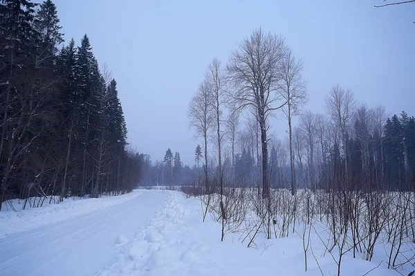 Besneeuwde Weg Langs Bos Winterlandschap — Stockfoto