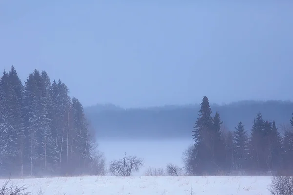 Neblige Winterlandschaft Mit Schneefall Und Wald Kaltes Saisonales Wetter — Stockfoto