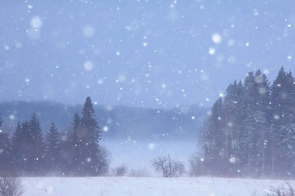 Niebla Paisaje Invierno Con Nevadas Bosques Clima Frío Estacional — Foto de Stock
