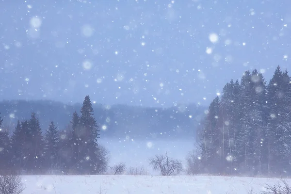 Neblige Winterlandschaft Mit Schneefall Und Wald Kaltes Saisonales Wetter — Stockfoto