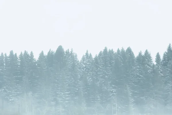 Nebbioso Paesaggio Invernale Con Nevicate Foresta Freddo Tempo Stagionale — Foto Stock