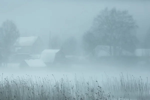 Nevoeiro Paisagem Inverno Com Nevasca Floresta Tempo Sazonal Frio — Fotografia de Stock