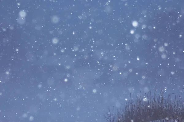 Mistige Winterlandschap Met Sneeuwval Bos Seizoensgebonden Koude — Stockfoto