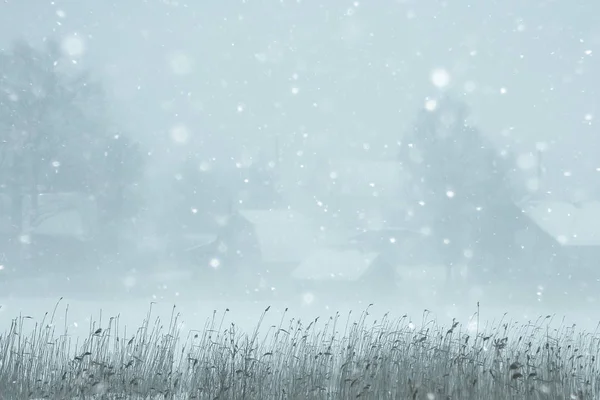Ködös Téli Táj Havazás Erdő Hideg Szezonális Időjárás — Stock Fotó