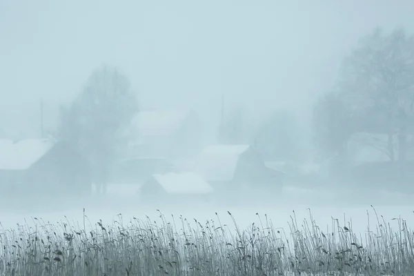 Nevoeiro Paisagem Inverno Com Nevasca Floresta Tempo Sazonal Frio — Fotografia de Stock