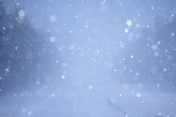 Сніг Туман Зимовій Дорозі Зимовий Самотній Пейзаж — стокове фото