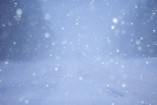 Snow Fog Winter Road Winter Lonely Landscape — Stock Photo, Image