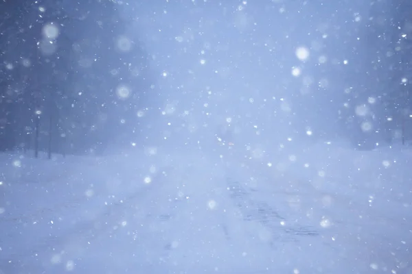 Nevoeiro Paisagem Inverno Com Nevasca Floresta Tempo Sazonal Frio — Fotografia de Stock