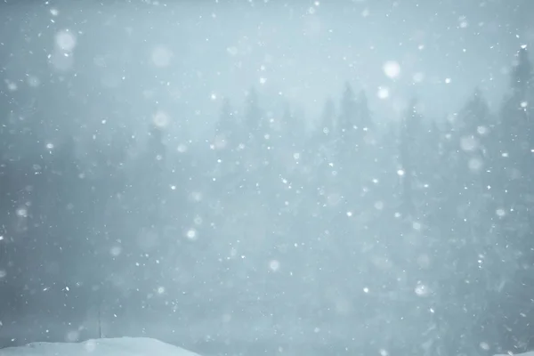 Dimmigt Vinterlandskap Med Snöfall Och Skog Säsongsbetonade Kyla — Stockfoto