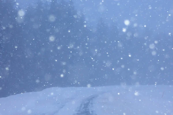 冬日的雪与雾 冬日寂寞的风景 — 图库照片