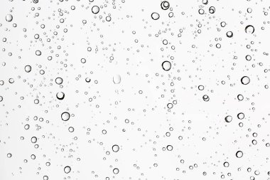 Beyaz arka plan, pencere camına yağmur damlaları, sonbahar hava kavramı ıslak