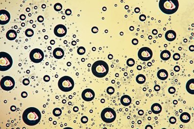 yeşil ıslak arka planı, pencere camına yağmur damlaları, sonbahar hava kavramı