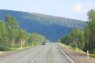 Otoban yol boyunca doğal sonbahar orman 