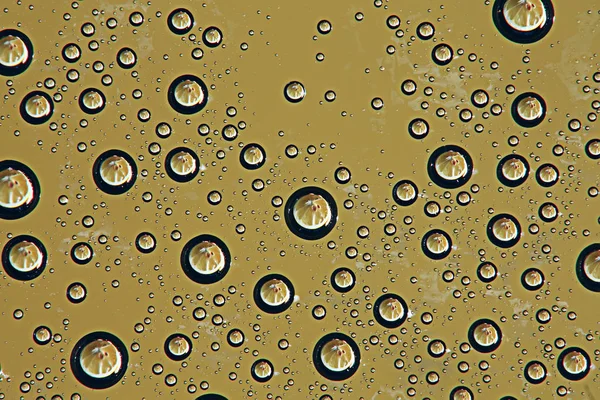 Green Wet Background Raindrops Window Glass Concept Autumn Weather — Stock Photo, Image
