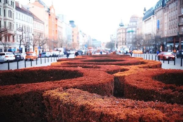 Paisaje Urbano Otoño Praga Vista Panorámica Los Tejados Rojos Los — Foto de Stock