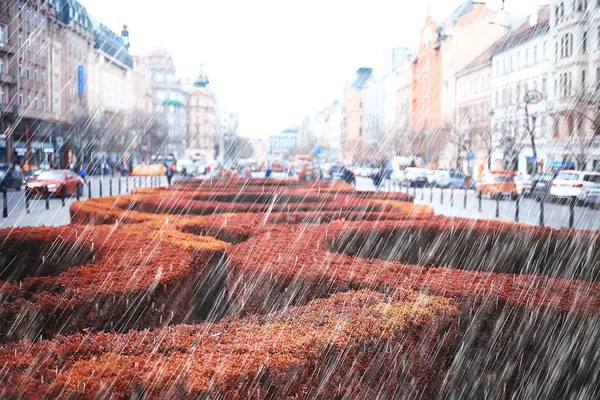 チェコ共和国での秋の風景 雨のプラハ 赤い屋根 雨の秋 天気風邪でプラハのパノラマ ビュー — ストック写真