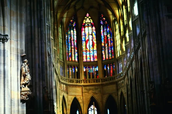 Katolik Katedrali Prag Çek Cumhuriyeti — Stok fotoğraf