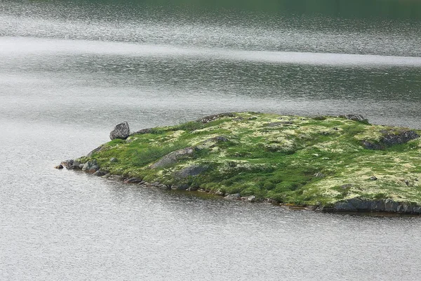 Asombroso Paisaje Tundra Verano Musgo Verde Ecosistema — Foto de Stock