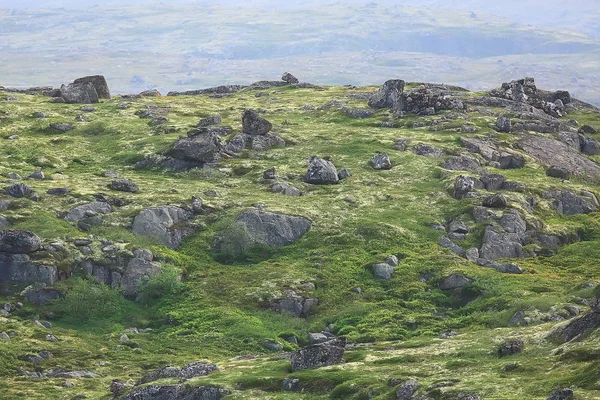 Fantastisk Sommar Tundra Landskap Grön Mossa Ekosystem — Stockfoto