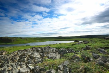 muhteşem yaz tundra manzara, yeşil yosun, ekosistem