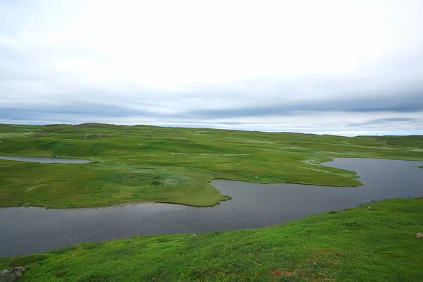 Incrível Paisagem Tundra Verão Musgo Verde Ecossistema — Fotografia de Stock