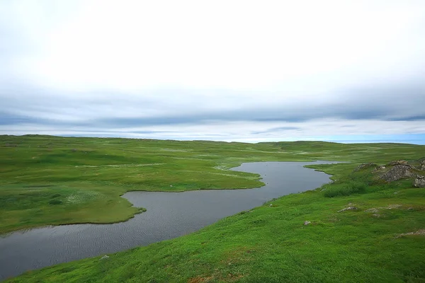 Traumhafte Sommer Tundra Landschaft Grünes Moos Ökosystem — Stockfoto