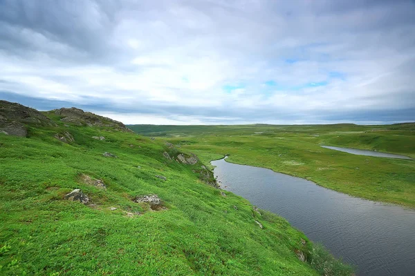 Traumhafte Sommer Tundra Landschaft Grünes Moos Ökosystem — Stockfoto