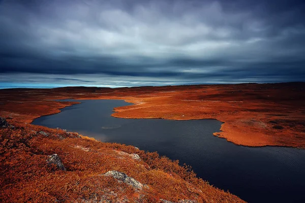 Hermoso Paisaje Del Bosque Otoño Bosque Amarillo Árboles Hojas Octubre — Foto de Stock