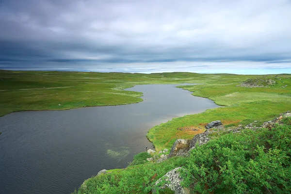 Csodálatos Nyári Tundra Táj Zöld Moha Ökoszisztéma — Stock Fotó