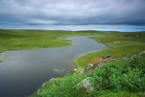 Asombroso Paisaje Tundra Verano Musgo Verde Ecosistema — Foto de Stock