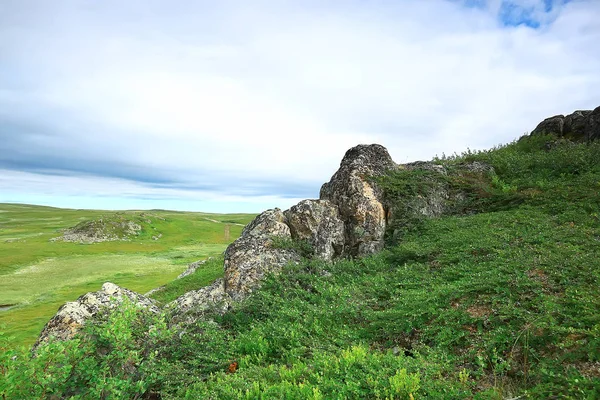 Incrível Paisagem Tundra Verão Musgo Verde Ecossistema — Fotografia de Stock