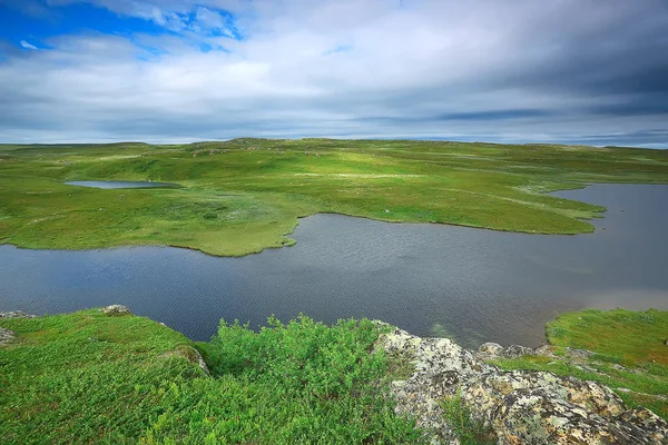 Stupenda Tundra Estiva Paesaggio Muschio Verde Ecosistema — Foto Stock