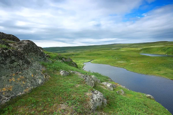 Csodálatos Nyári Tundra Táj Zöld Moha Ökoszisztéma — Stock Fotó