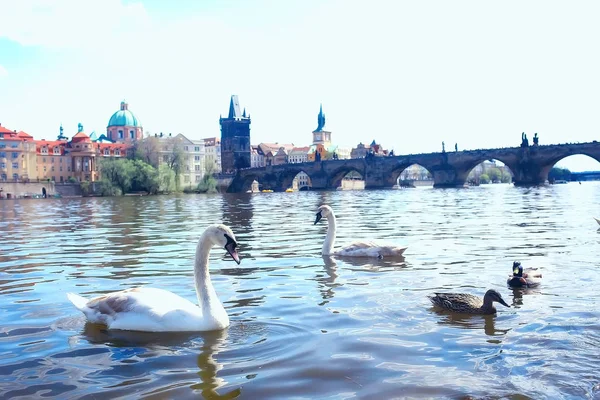 Panoramautsikt Över Bron Över Floden Moldau Prag Tjeckien — Stockfoto