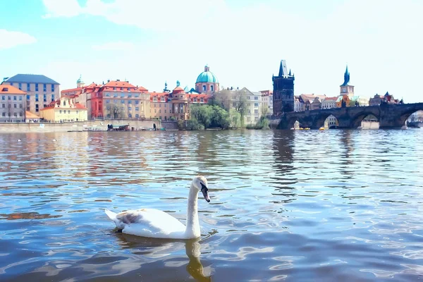 Panoramautsikt Över Bron Över Floden Moldau Prag Tjeckien — Stockfoto