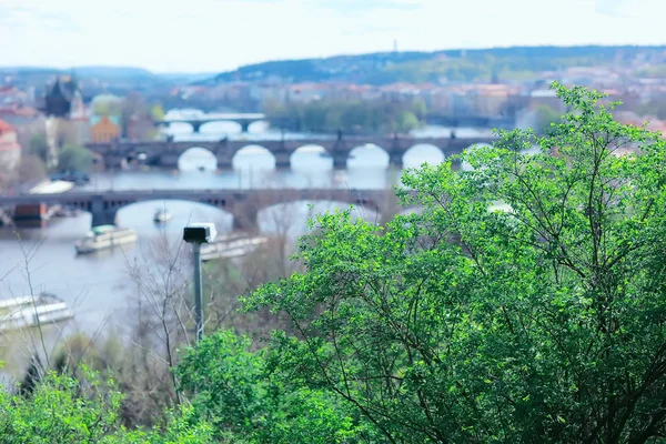 Panoramablick Auf Brücke Über Moldau Prag Tschechische Republik — Stockfoto