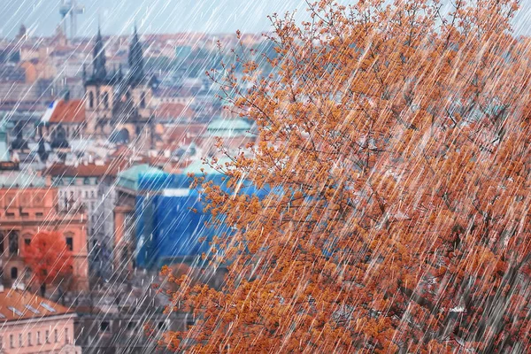 Outono Paisagem República Checa Chuva Praga Telhados Vermelhos Vista Panorâmica — Fotografia de Stock